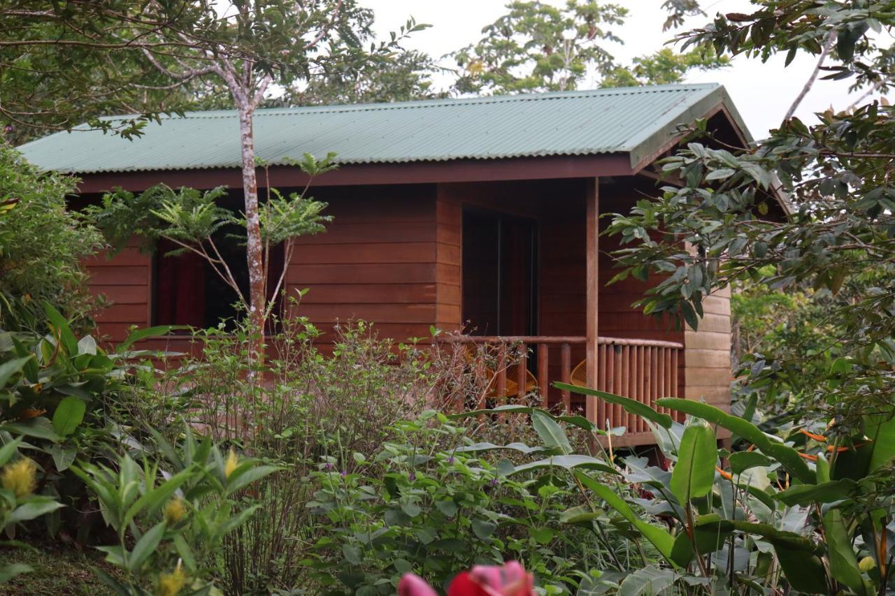 Eco Granja Don Lolo Villa Quesada  Buitenkant foto